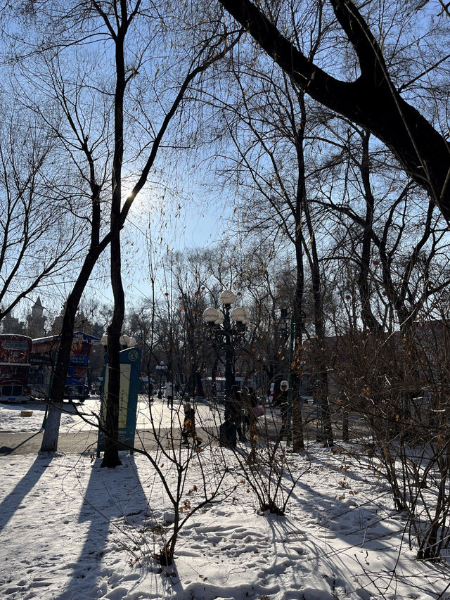 ☀️❄️ Discovering Tai Yang Island in Harbin 🏝️✨  