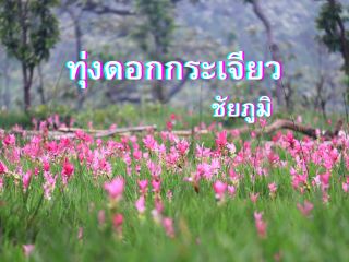 Chaiyaphum