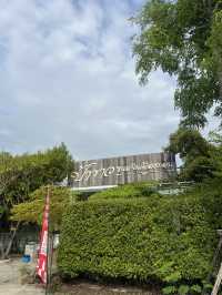ร้านป้าขาว ขนมจีนเมืองคอน