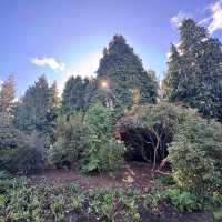 Royal Botanic Garden Edinburgh
