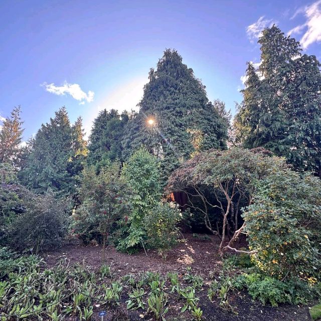 Royal Botanic Garden Edinburgh