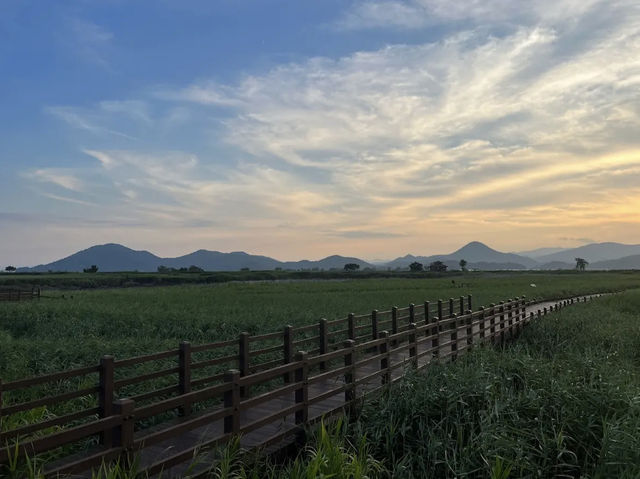 Suncheon Bay Nature Reserve