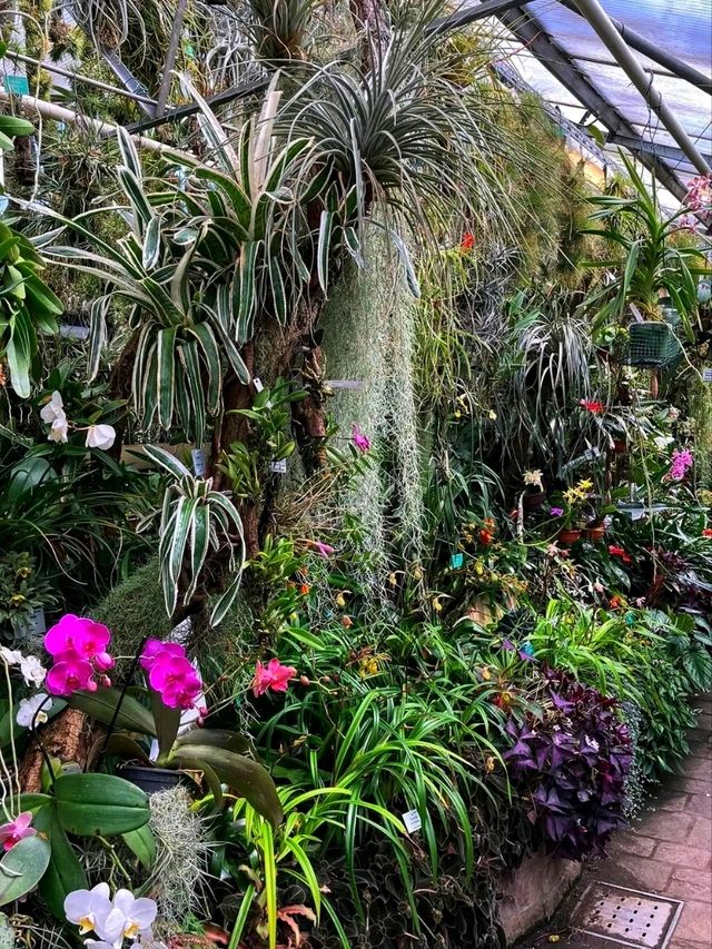 🌿 Linz Botanical Garden – Nature’s Tranquil Corner in the Heart of the City