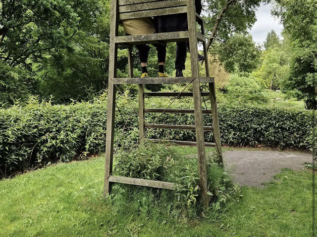Arboretum Kalmthout