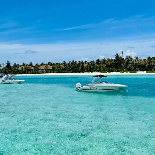 Rocking Paradise Found