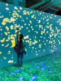 台版teamlab🎨 小孩愛瘋的沈浸式體驗 屏菸1936文化基地