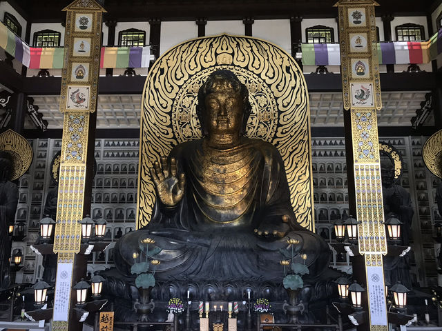 【福井・越前大仏🪷】圧巻のスケール！日本一大きな坐像を拝む旅