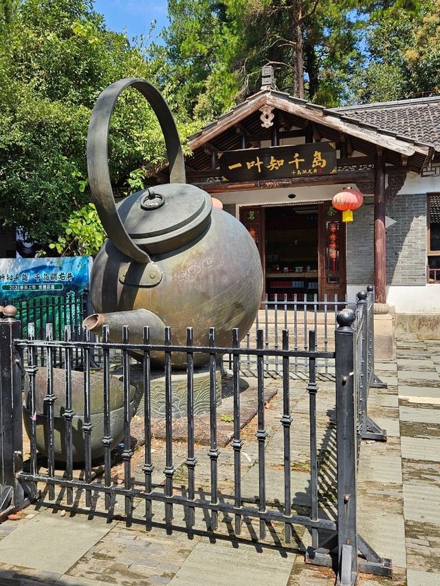 千島湖中的瑰寶～梅峰島