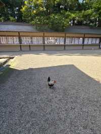 【宮城】仙台　国宝 大崎八幡宮