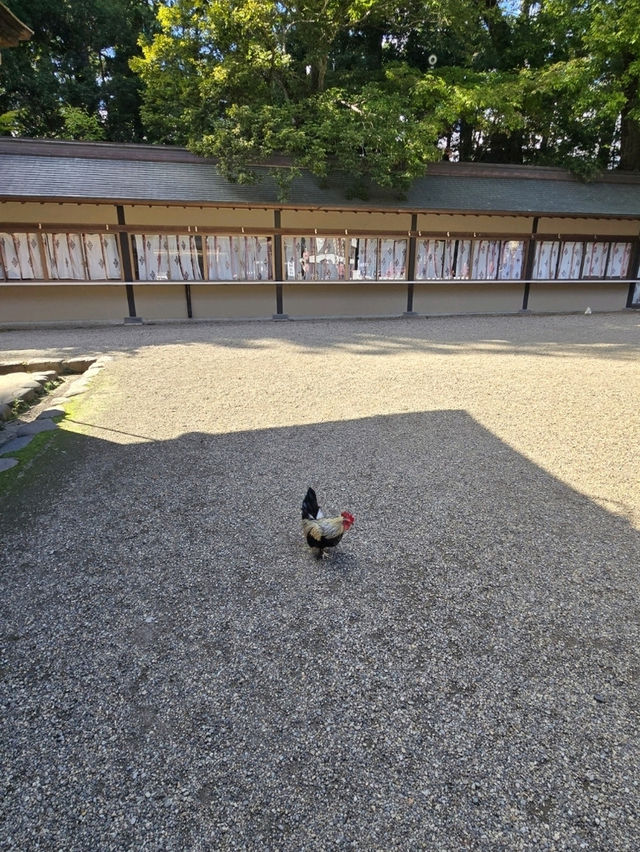 【宮城】仙台　国宝 大崎八幡宮