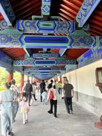 🏯世界遺産の静寂を歩く|北京・天壇公園(Temple of Heaven)