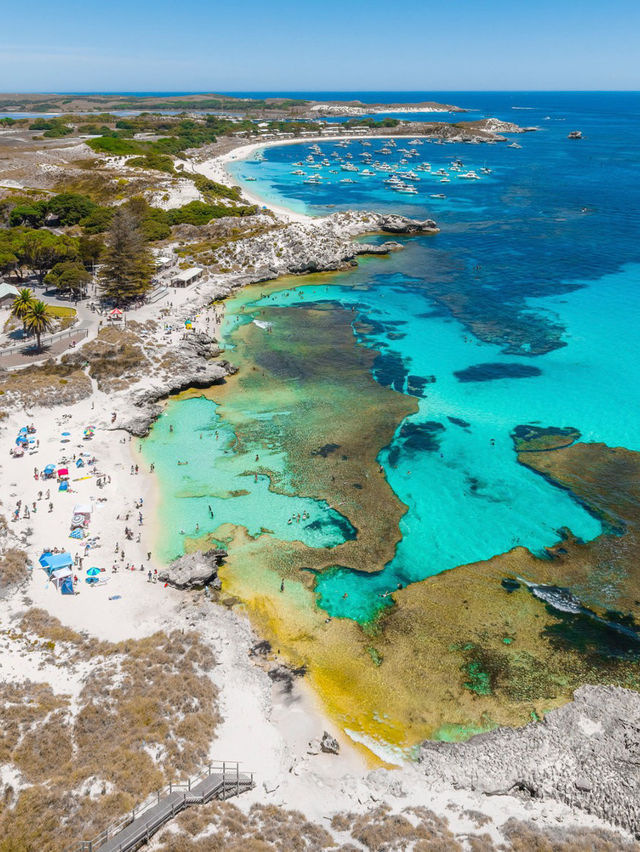 A Serene Escape to Rottnest Island, Perth