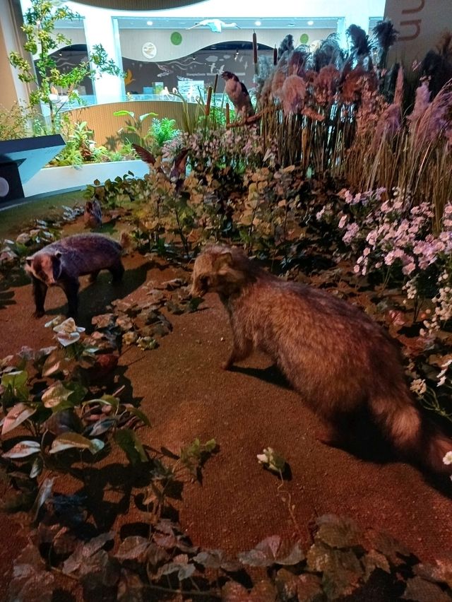 생생한 자연을 담은 디오라마 전시🌾🦆