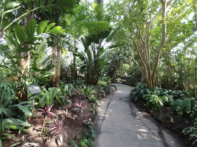 Yeomiji Botanical Garden