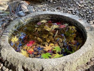 가을의 색채가 만개하다