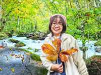 日本青森奧入瀨溪流