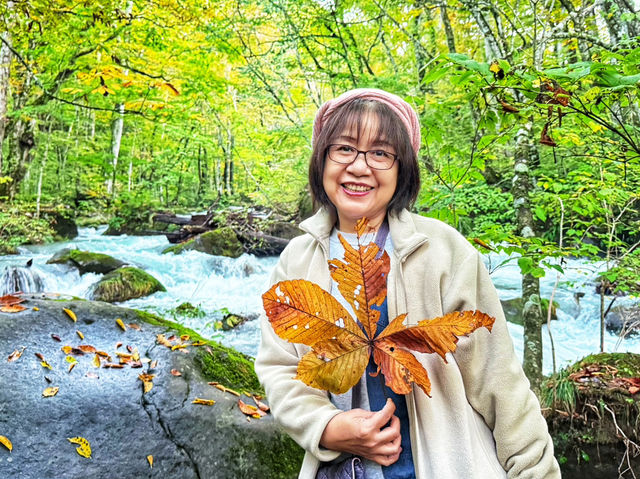 日本青森奧入瀨溪流 日本青森奧入瀨溪流