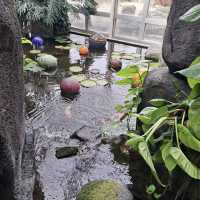 Franklin Park Conservatory and Botanical Gardens