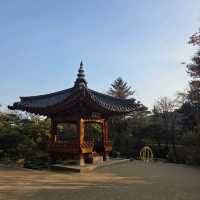 단풍 보러가기 좋는 용인 가을여행지 호암미술관