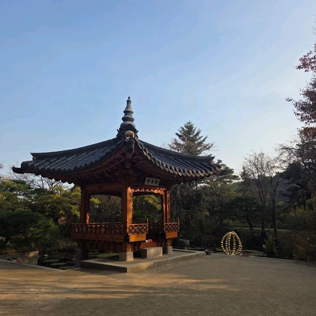 단풍 보러가기 좋는 용인 가을여행지 호암미술관