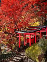 🍁 Yoshimine-dera Temple – Kyoto’s Mountain Jewel Dressed in Autumn Glory 🇯🇵