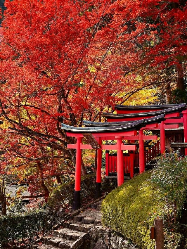🍁 Yoshimine-dera Temple – Kyoto’s Mountain Jewel Dressed in Autumn Glory 🇯🇵