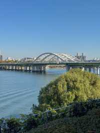 가을을 느끼기 좋은 서울 공원 추천