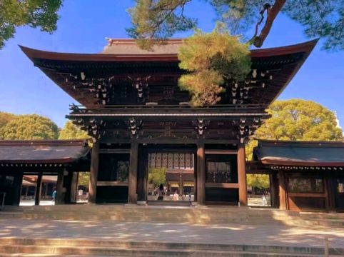 A Peaceful Escape in the Heart of Tokyo — Meiji Jingu Shrine