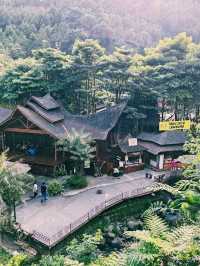 Wonders of The Great Asia Africa