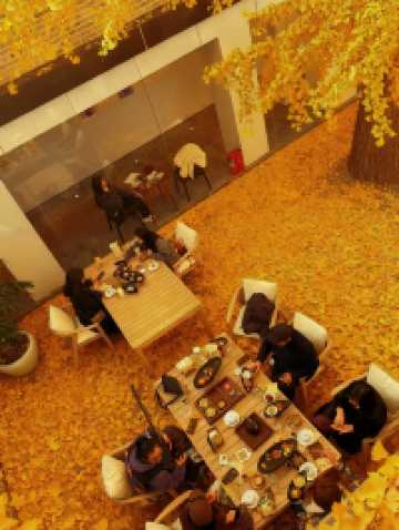 百年銀杏樹下的下午茶