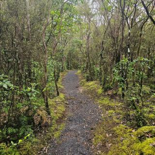 A Peaceful Riverside Track with Gentle Adventure