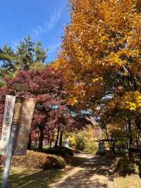 🌳올림픽공원 산책길