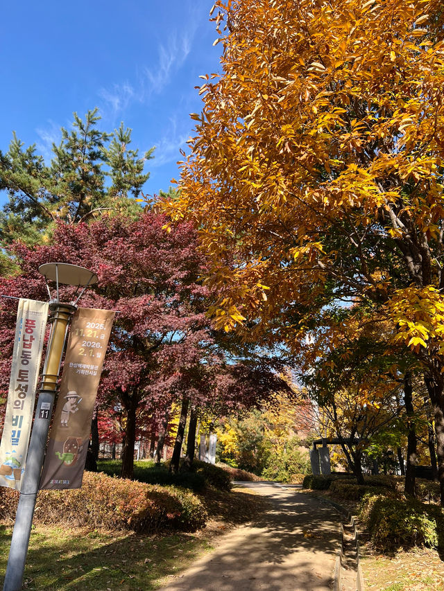 🌳올림픽공원 산책길