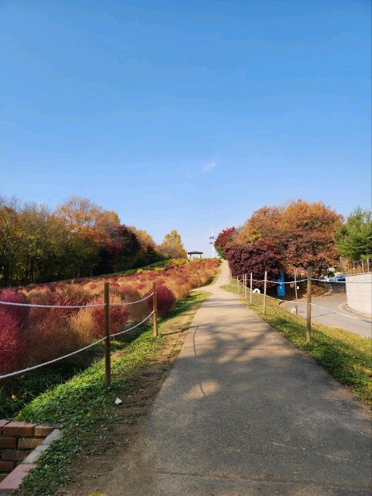 ⭐서울 올림픽공원 하루 코스 – 거대한 엄지상 구경하고, 가을 댑싸리 걷고, 청와옥에서 마무리!