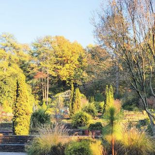 Sarah P. Duke Gardens