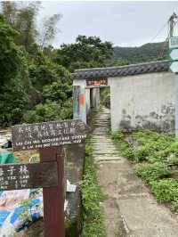 📸打卡香港秘境！荔枝窩客家村奇樹+海景一日遊