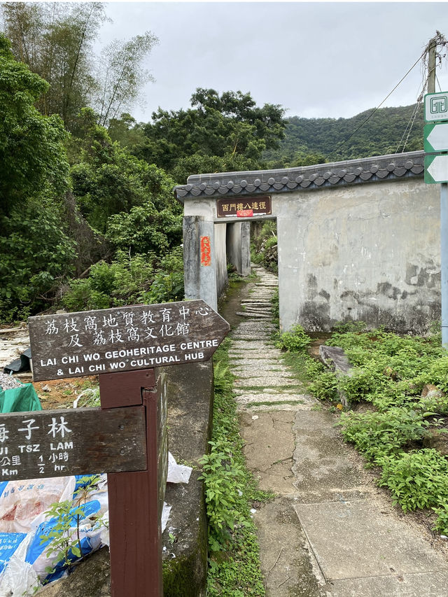 📸打卡香港秘境！荔枝窩客家村奇樹+海景一日遊