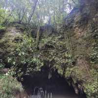 Waitomo Glowworm Caves