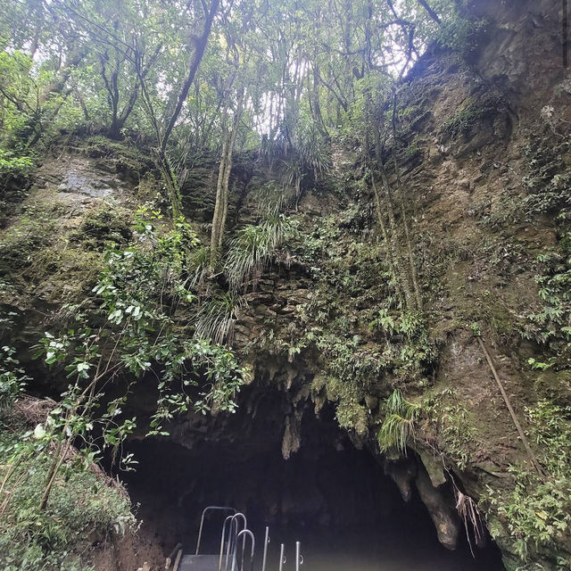 Waitomo Glowworm Caves