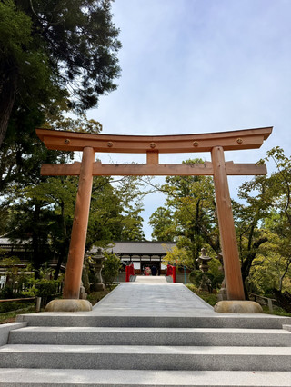 和歌山｜供奉木神的伊太祁曾神社 鑽木洞轉圈能除厄平安