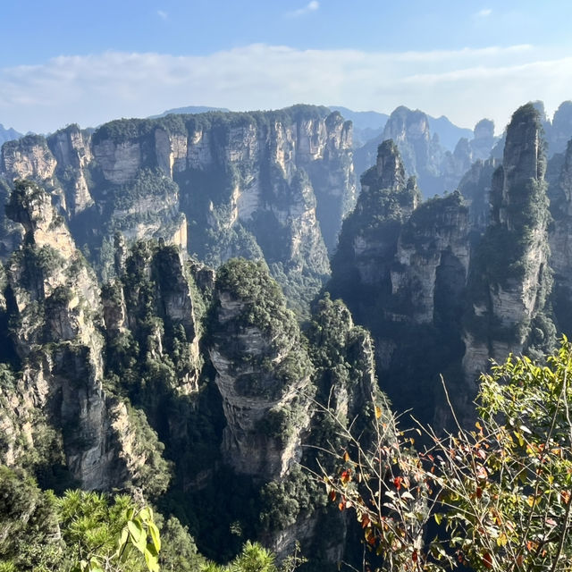 Zhangjiajie National Forest Park — East Gate One-Day Route That Actually Works Zhangjiajie National Forest Park — East Gate One-Day Route That Actually Works