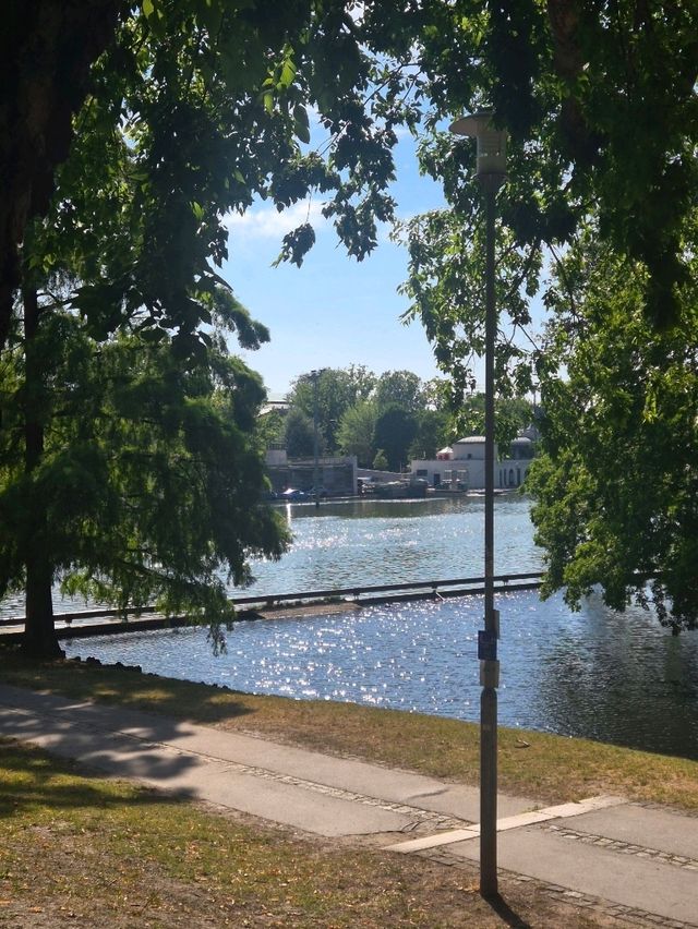 헝가리 부다페스트 여행 : 자유로운 city park 🇭🇺
