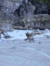 皮皮島、瑪雅灣、猴子島、Khai島:普吉海上四大夢幻景點一次玩到飽