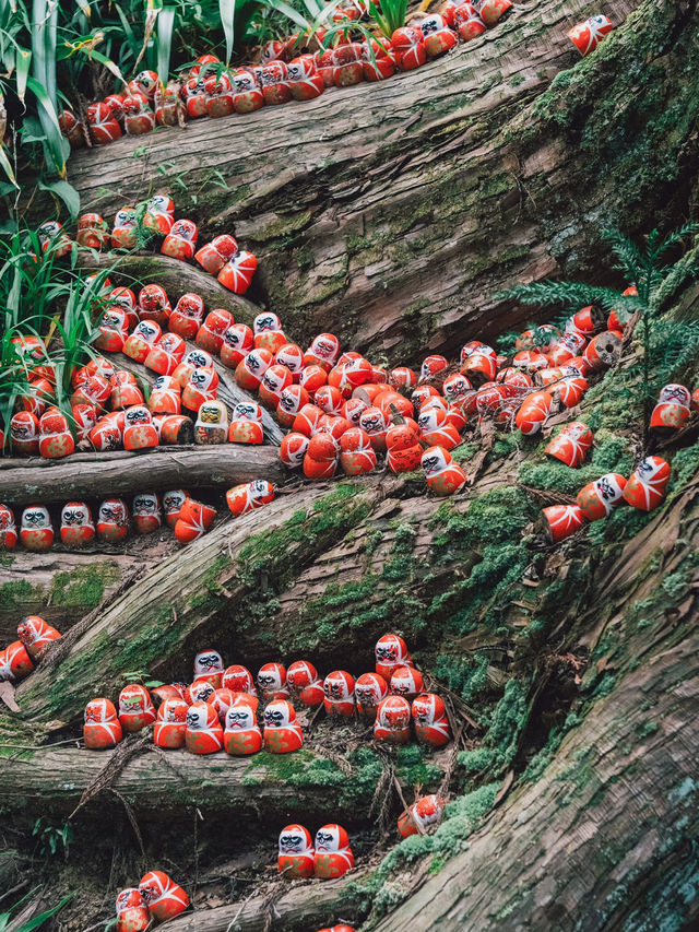 勝尾寺超級可愛滿山達摩! 勝尾寺超級可愛滿山達摩!