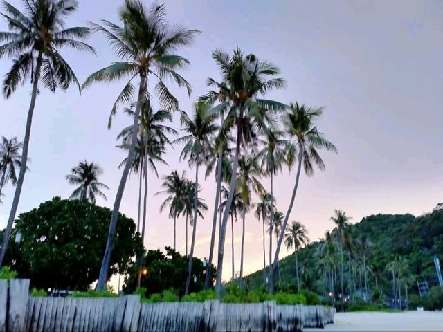 หาดทรายละเอียด อ่าวโลมาเกา เกาะพีพี สวยจึ้ง!! หาดทรายละเอียด อ่าวโลมาเกา เกาะพีพี สวยจึ้ง!!