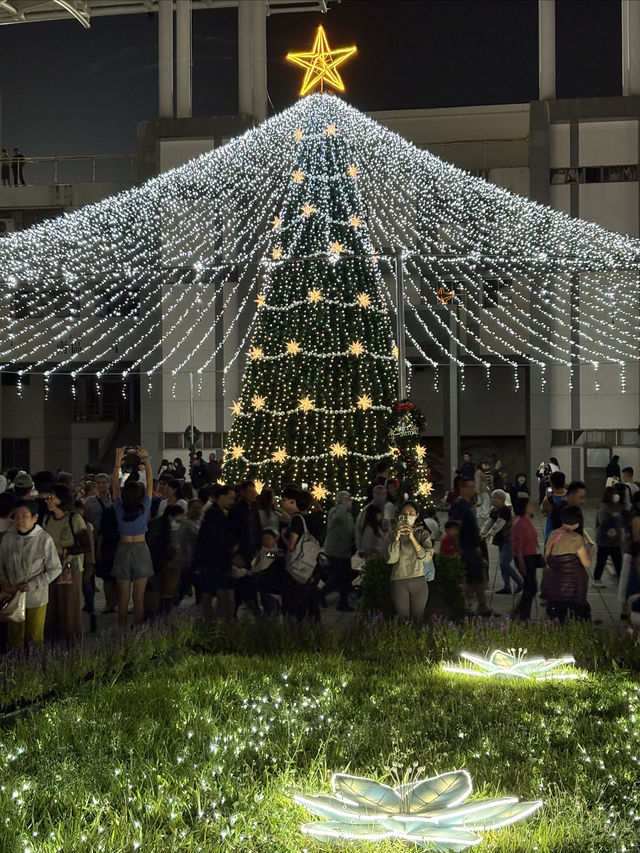 屏東景點✨屏東公園暖冬聖誕燈節🎄活動資訊
