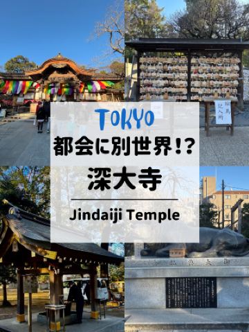 🇯🇵 도쿄도시에 다른 세계! ?