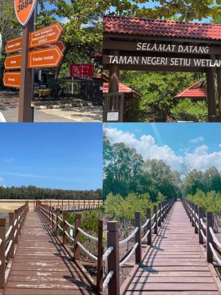 セティウ湿地における持続可能なエコツーリズム