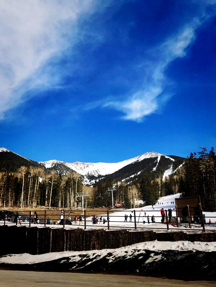 Snowy Joy Ahead⛷️