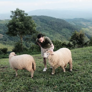 山間の可愛らしい羊牧場、Akha Farmville。 | Trip.com メースワイ